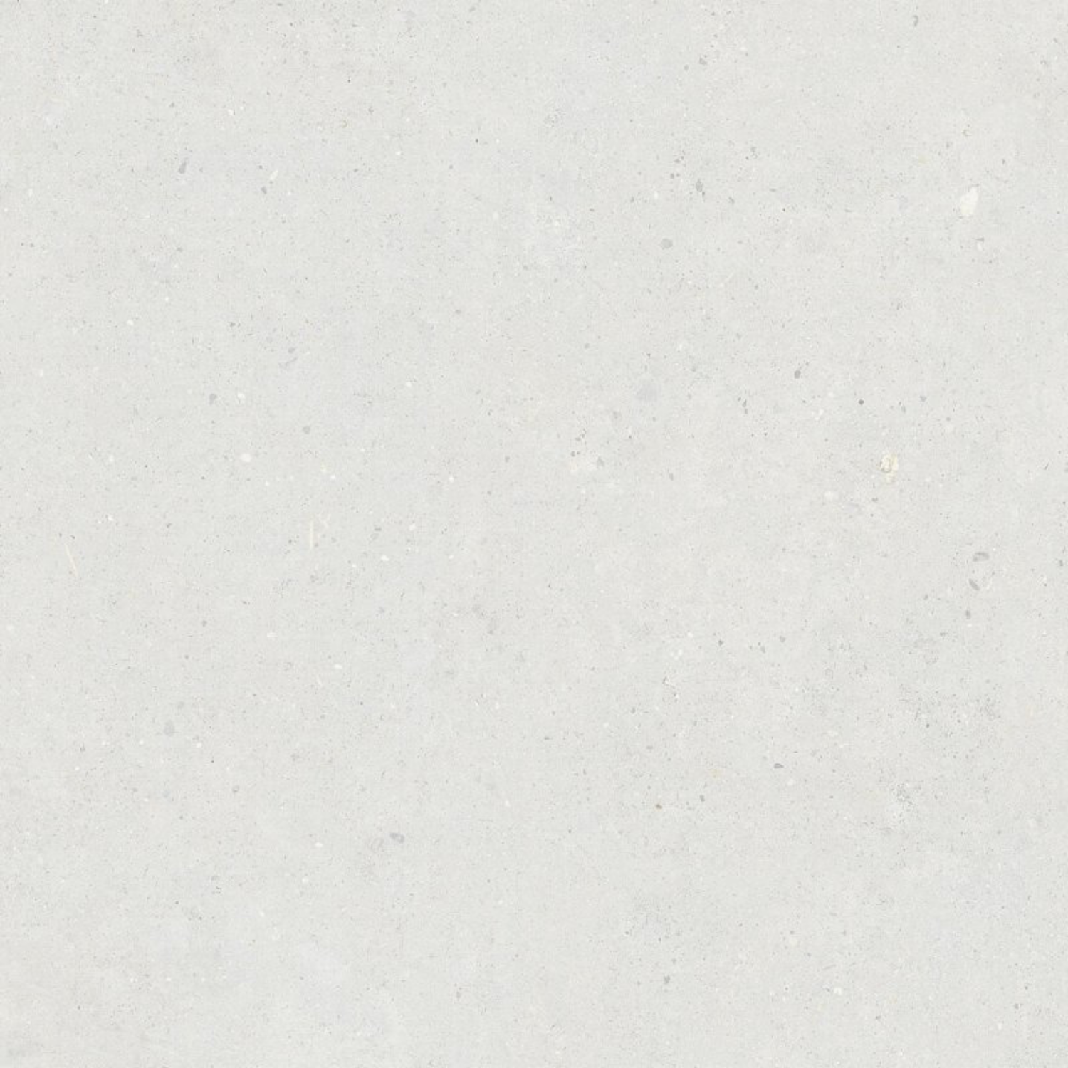 Pastorelli Biophilic White nat 60x60